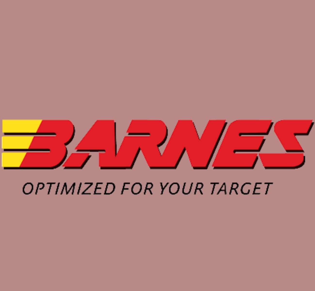 BARNES BULLETS